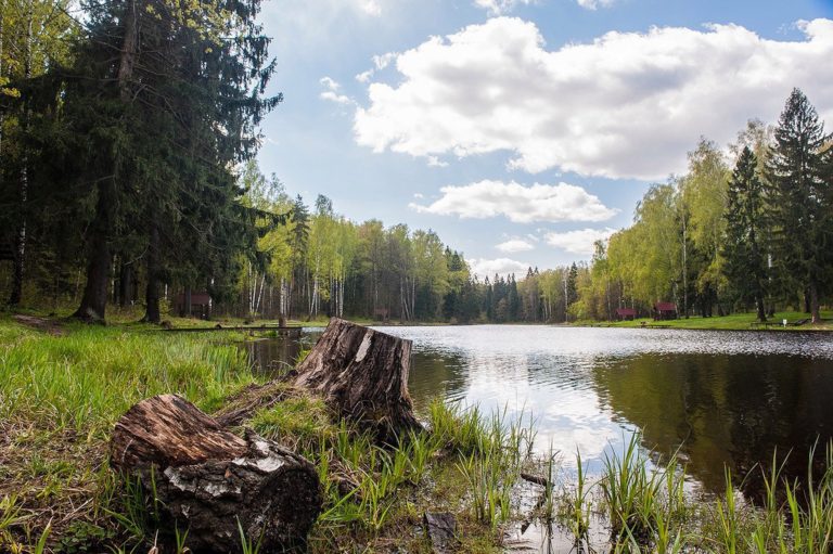 Фото парка лосиный остров