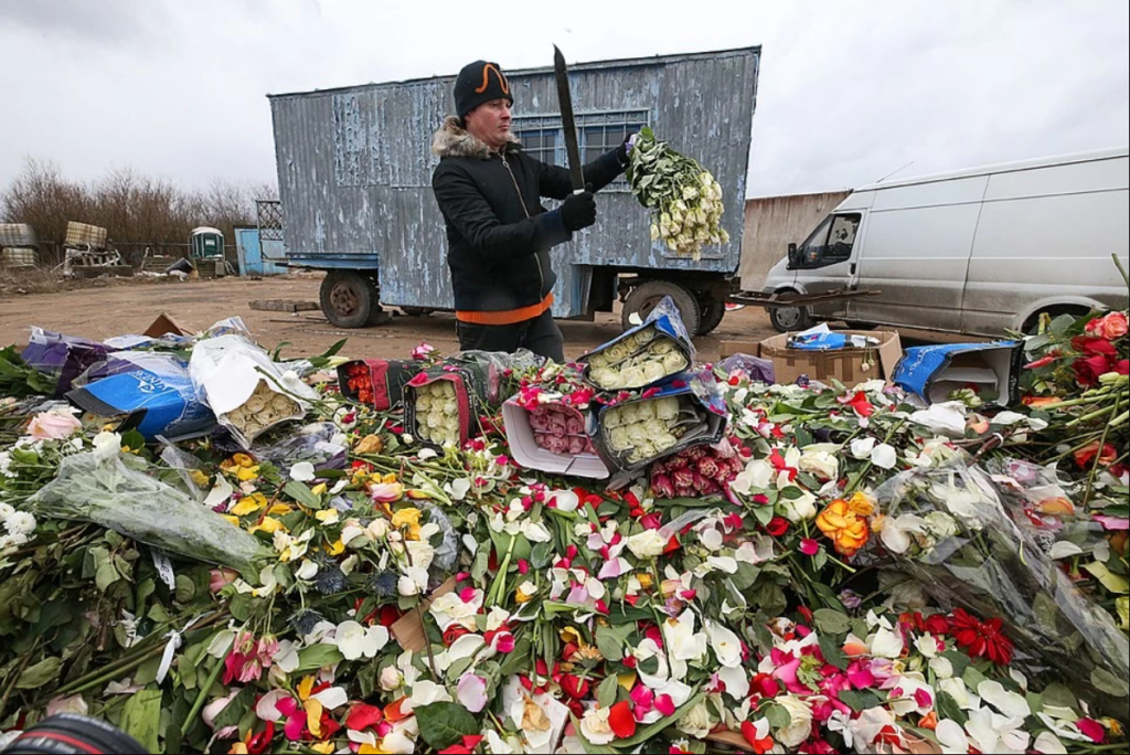 Умершие розы. Выброшенные цветы. Розы в помойке. Цветы в мусорке. Свалка цветов.