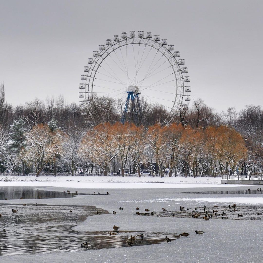 парк измайлово москва зимой
